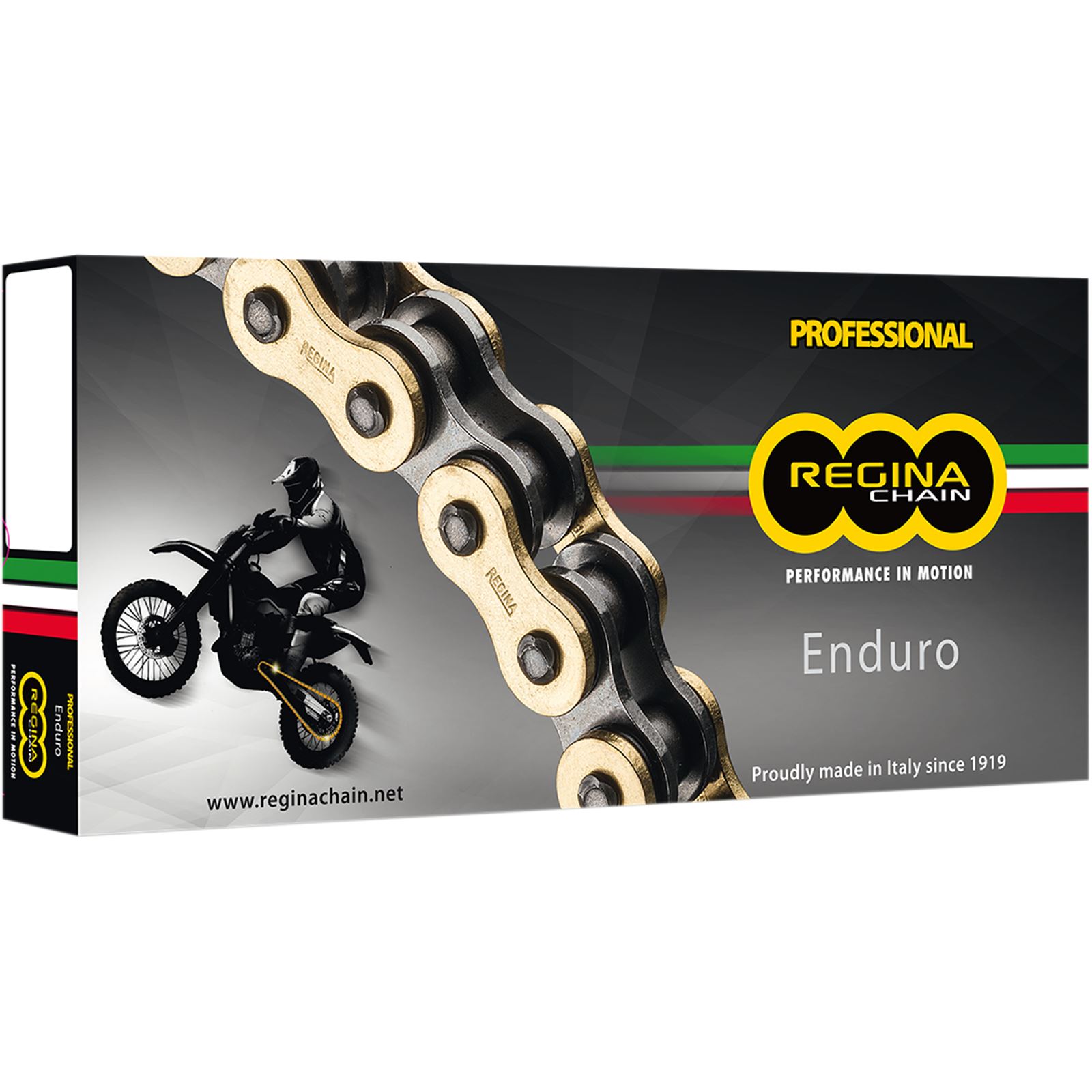 ペロニーナ Regina HPE 520 O-Ring Endurance Chain – Sierra BMW Motorcycle