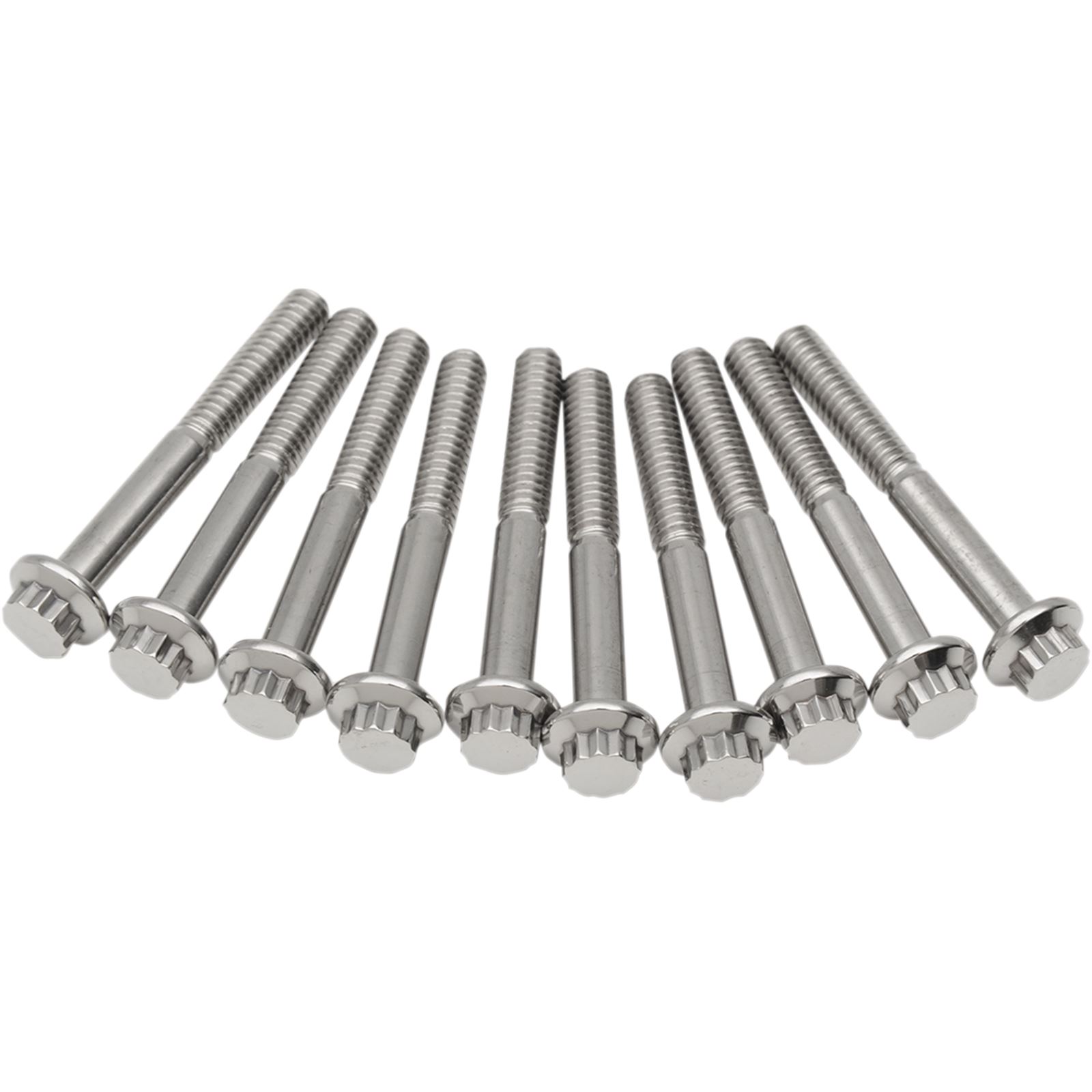 Diamond Engineering TC0420HP-10 12-Point Stainless Steel Coarse Thread Bolt Refill Packs - 1/4in.-20 x 2in.