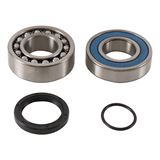 All Balls Chaincase Bearing and Seal Kit