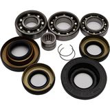 All Balls Differential Bearing & Seal Kit