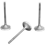 ProX Intake Valve
