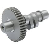 Andrews Products Camshaft - B2 Grind