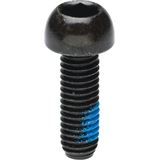 Hayes Caliper Mounting Bolts 10-Pack