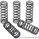 Pro Circuit High Performance Clutch Springs